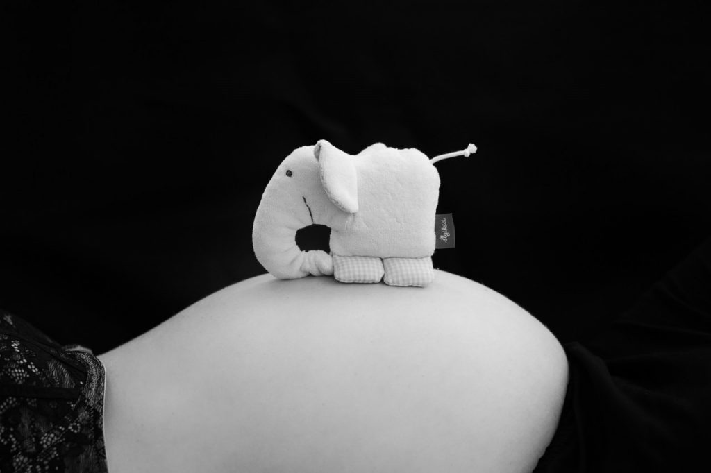 Stoffelefant auf Babybauch, Schwangerschaftsfotos, Fotograf, Ella Photography, Erkrath, Hilden, Düsseldorf